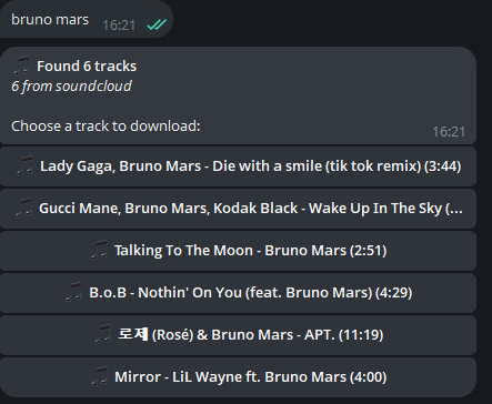 Downloaded Track with Metadata